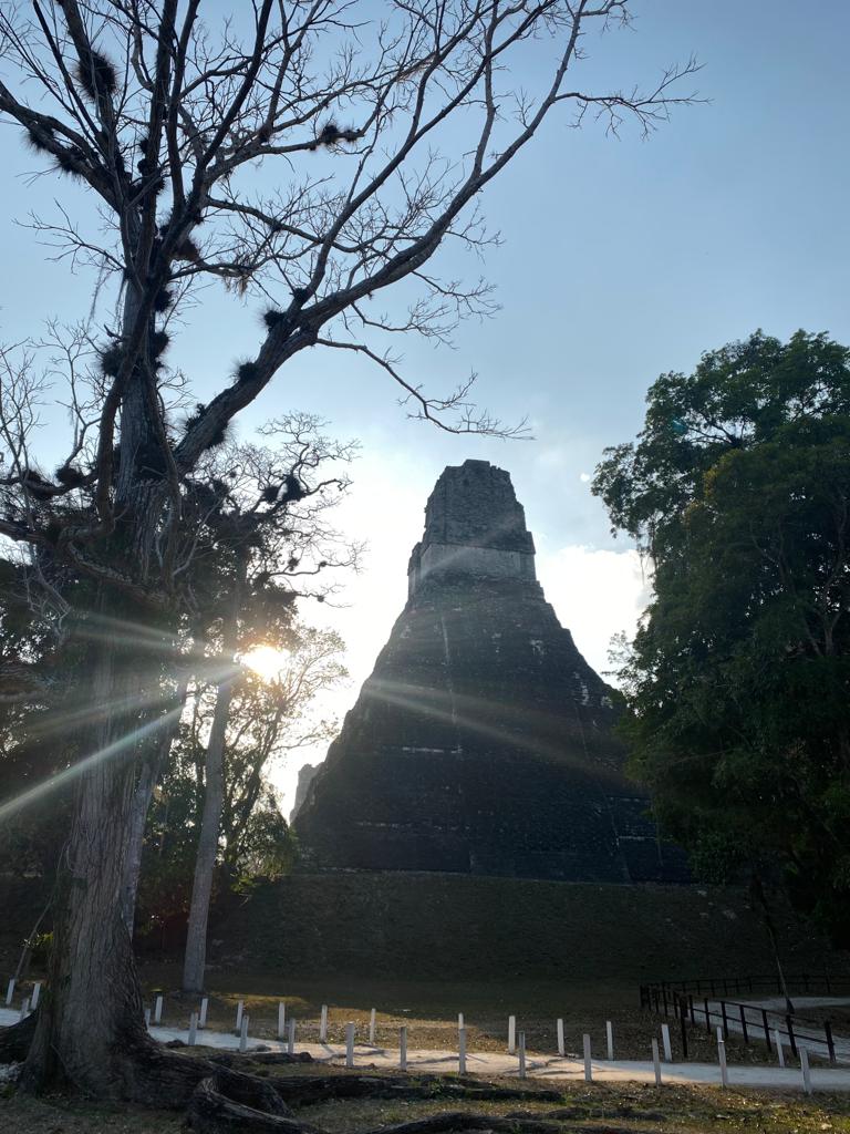 Transport Tikal